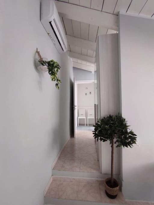 Ferienwohnung Free Parking Tiny House Wifi Netflix 15 Minuti Dal Duomo Mailand Exterior foto